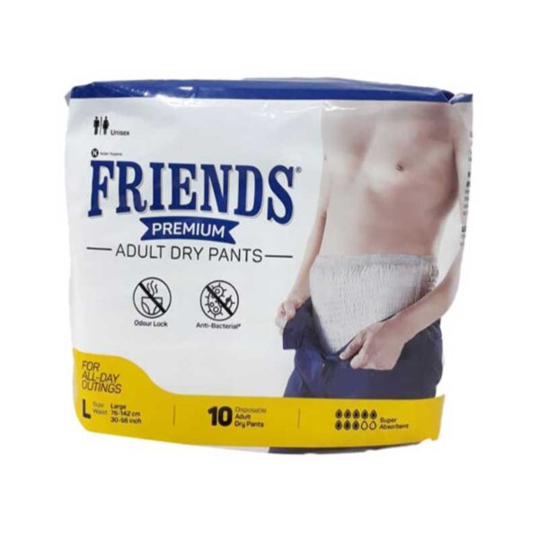 Pull up Diaper - Friends Premium - Large