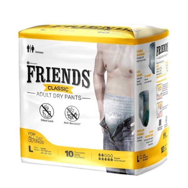 Pull up Diaper - Friends Classic - Large